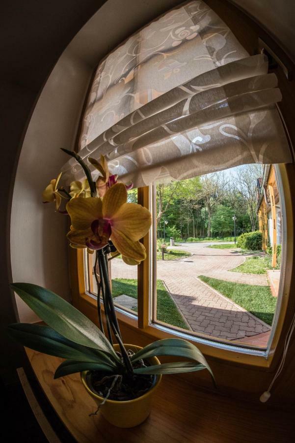 Apartma Marjetica 2 Moravske-Toplice Buitenkant foto