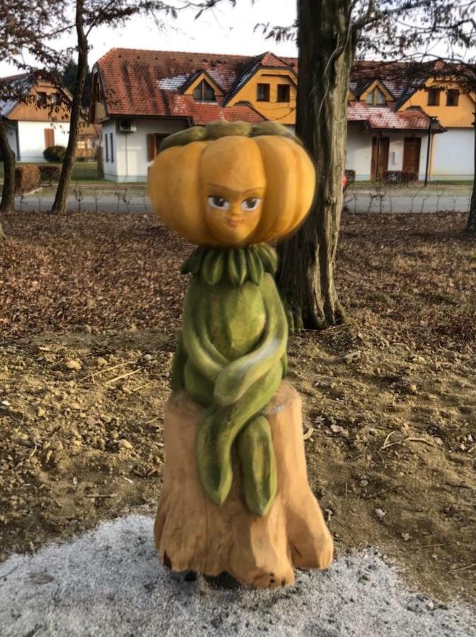 Apartma Marjetica 2 Moravske-Toplice Buitenkant foto
